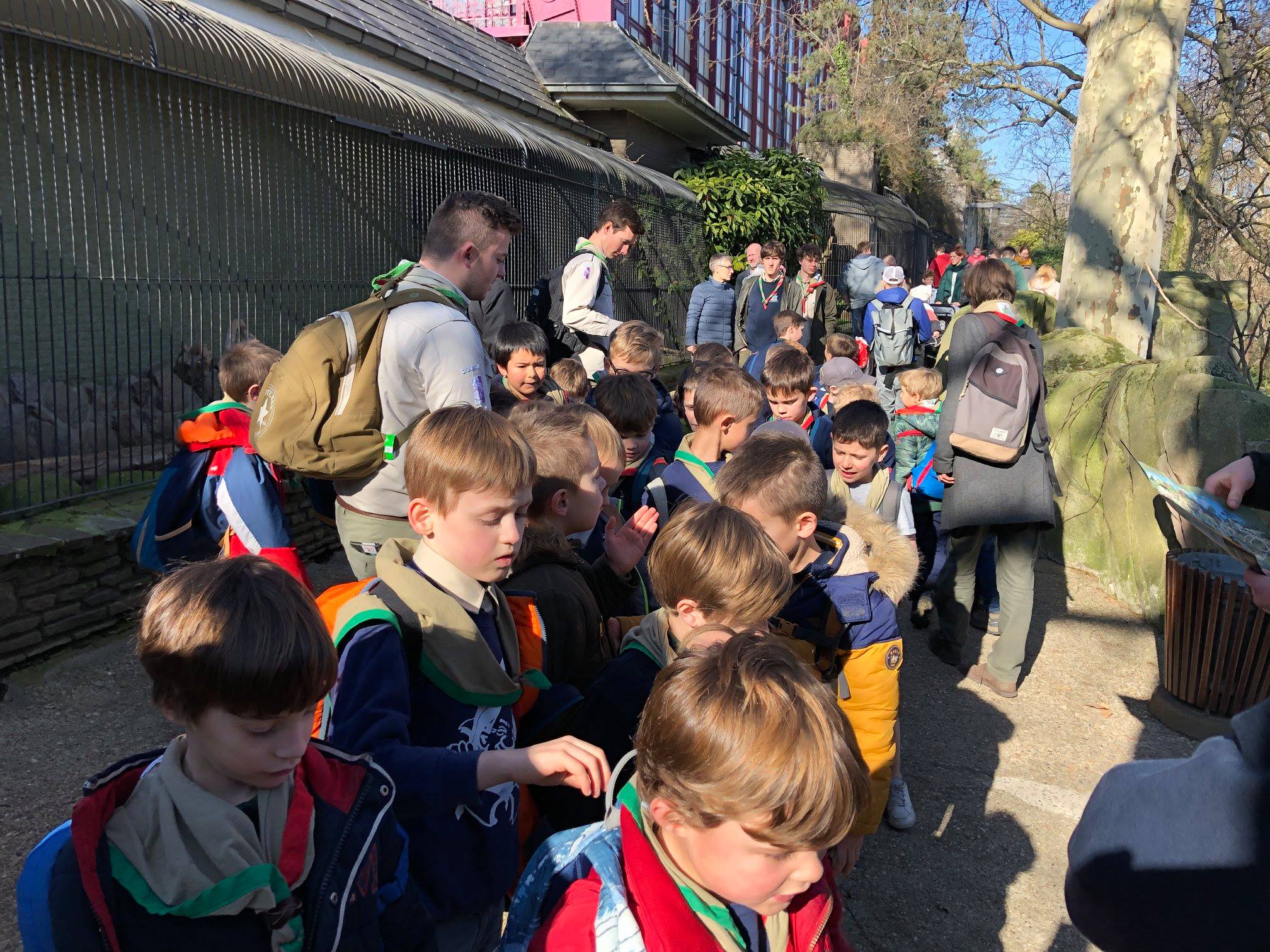 Sint-Martinus den XIIde - Zoo Antwerpen Kapoenen